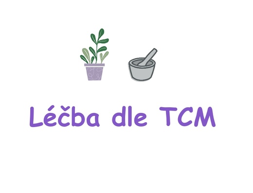 Léčba dle TCM1.jpg