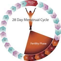 menstruace15.jpg